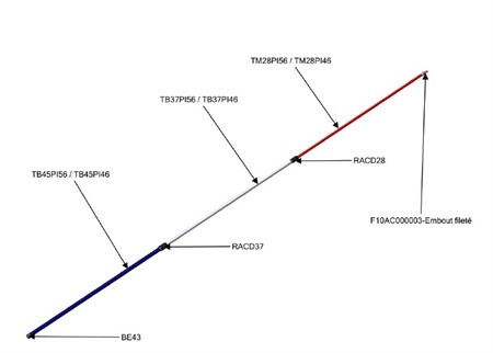 Insulating telescopic poles 5.60m